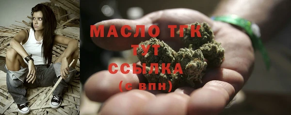 твердый Заводоуковск