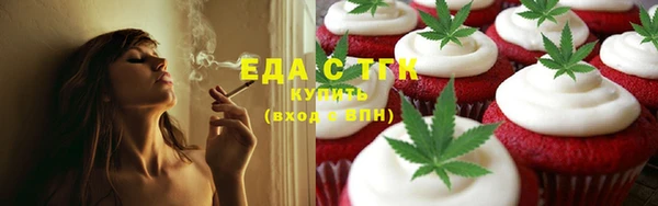 твердый Заводоуковск
