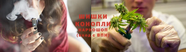 твердый Заводоуковск