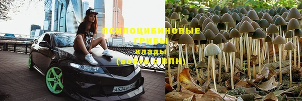 твердый Заводоуковск