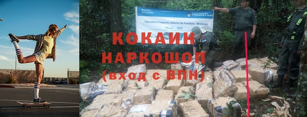 твердый Заводоуковск