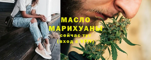 твердый Заводоуковск