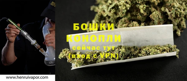 твердый Заводоуковск
