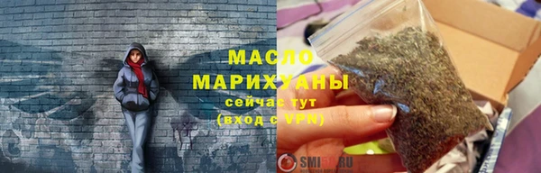 твердый Заводоуковск